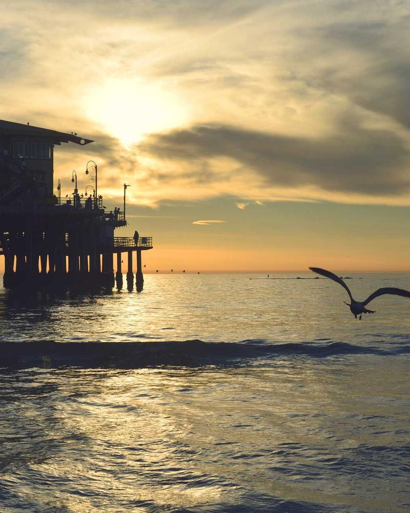 Divano letto Atelier grigio — funzionalità raffinata