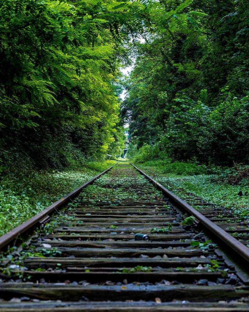 Divano Belvedere in velluto blu di Casa Divana