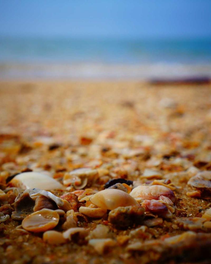 Divano Essenza in lino naturale — la purezza della forma