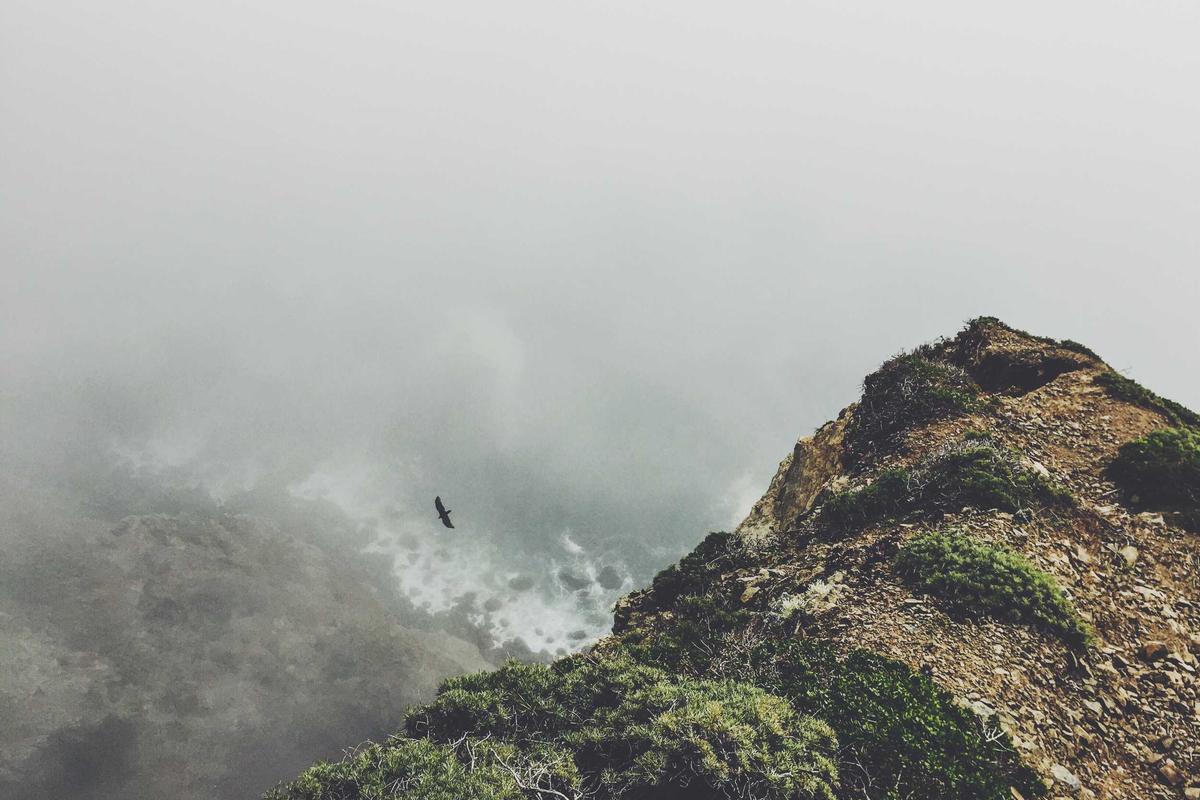 Area esposizione divani dello showroom Casa Divana