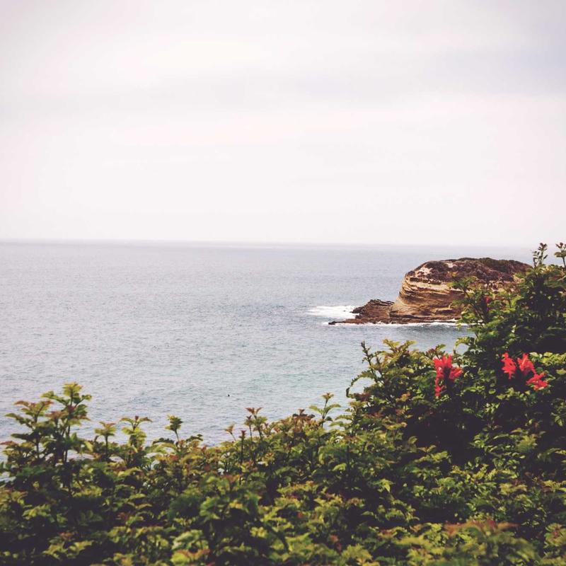 Rotoli di tessuti pregiati nel campionario Casa Divana