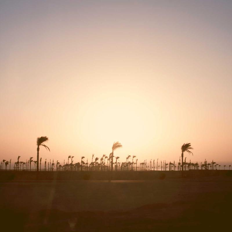 Pelli conciazione vegetale selezionate dalla conceria